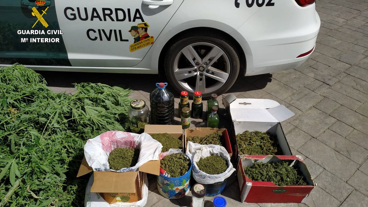 Producto e instrumental decomisado en la investigación. | GUARDIA CIVIL