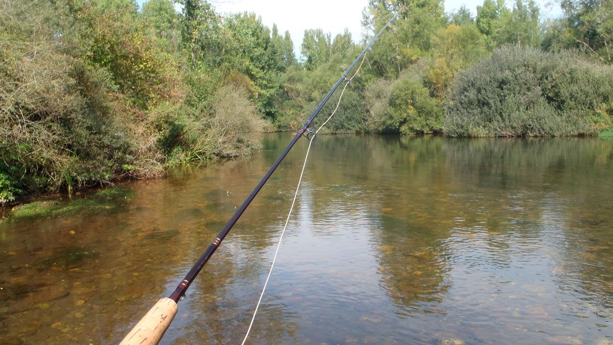 Imagen de un pescador en uno de los ríos leoneses. | R.P.N.
