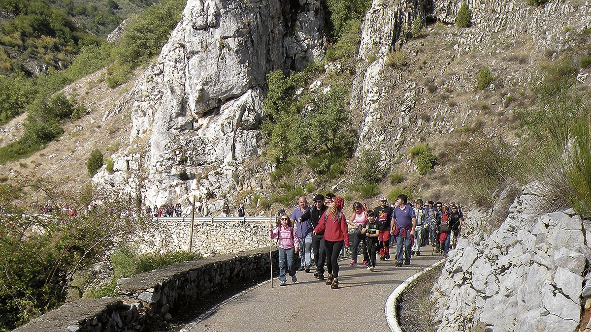 Un momento de la subida, algunos en madreñas, hasta la localidad de Paradilla. | ESTEFANÍA NIÑO