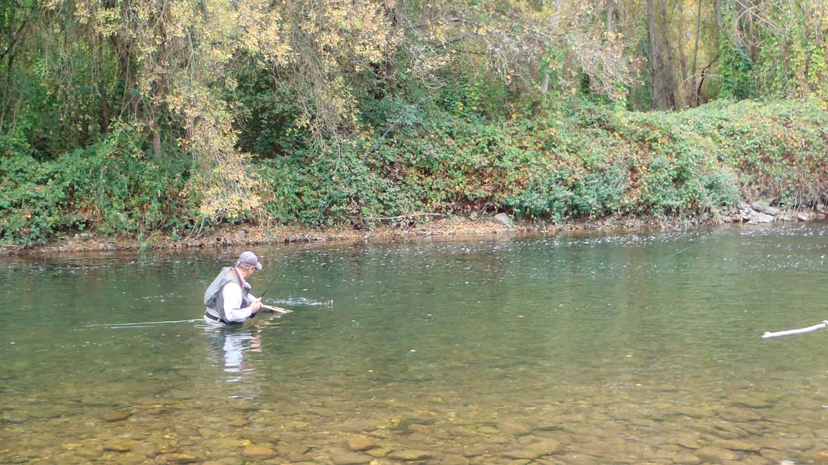 Pescador cobrando una trucha en el río Órbigo. | R.P.N. Pescador cobrando una trucha en el río Órbigo. | R.P.N.