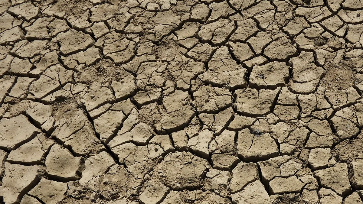Se pretende dar liquidez a las explotaciones agrarias de la comunidad. | DANIEL MARTÍN Se pretende dar liquidez a las explotaciones agrarias de la comunidad. | DANIEL MARTÍN