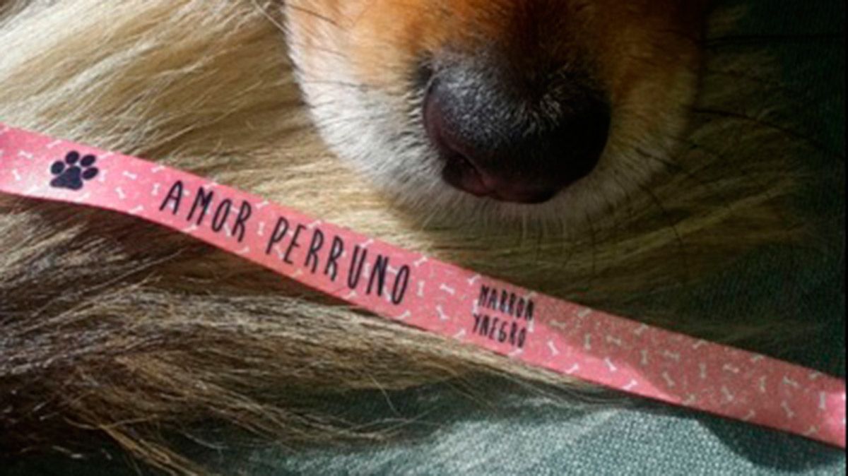 Los perros y los gatos serán los beneficiados de esta iniciativa. | CÉSAR SÁNCHEZ