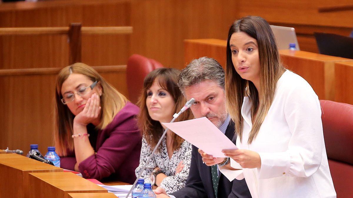 Nuria Rubio en las Cortes de Castilla y León en una imagen de archivo. | ICAL