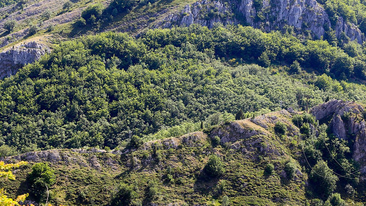 Reserva de la Biosfera Alto Bernesga de León. | CARLOS S. CAMPILLO (ICAL)