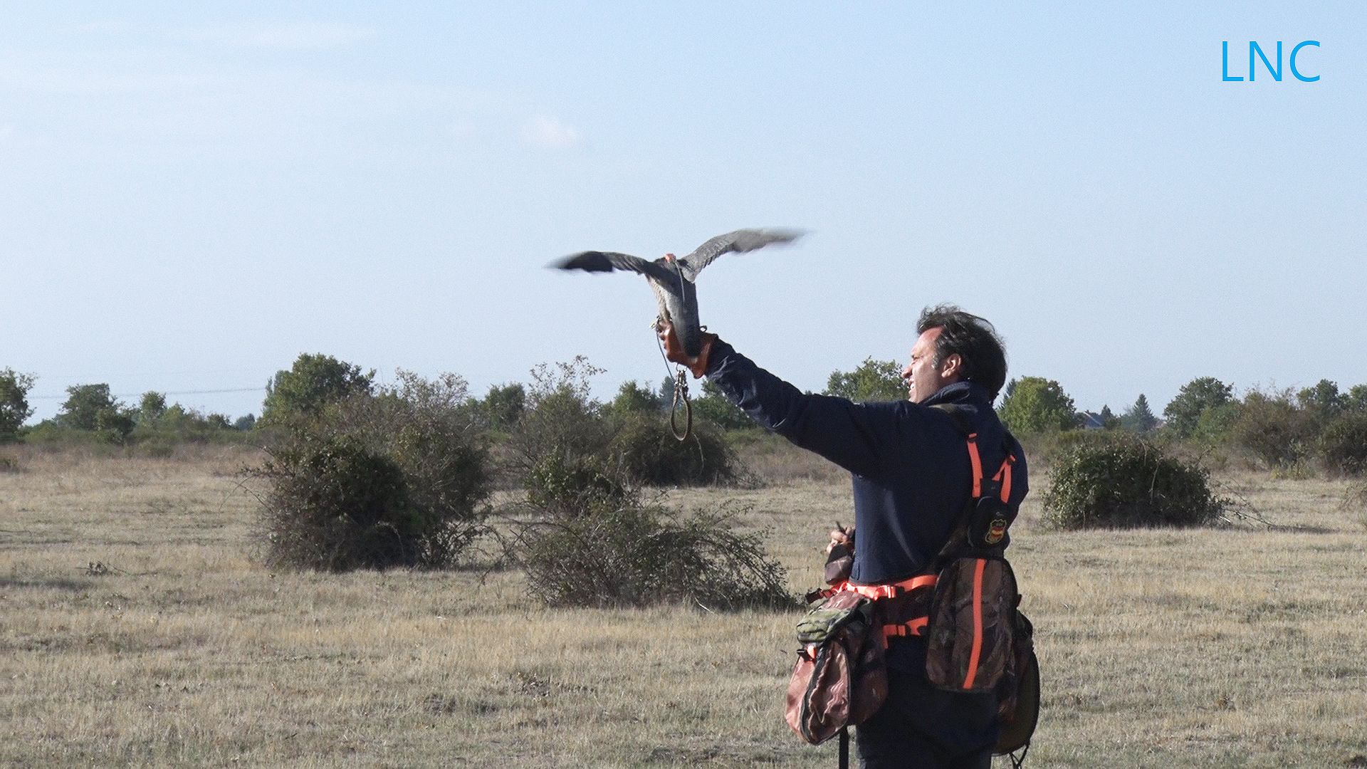 frame-12aves.jpg frame-12aves.jpg