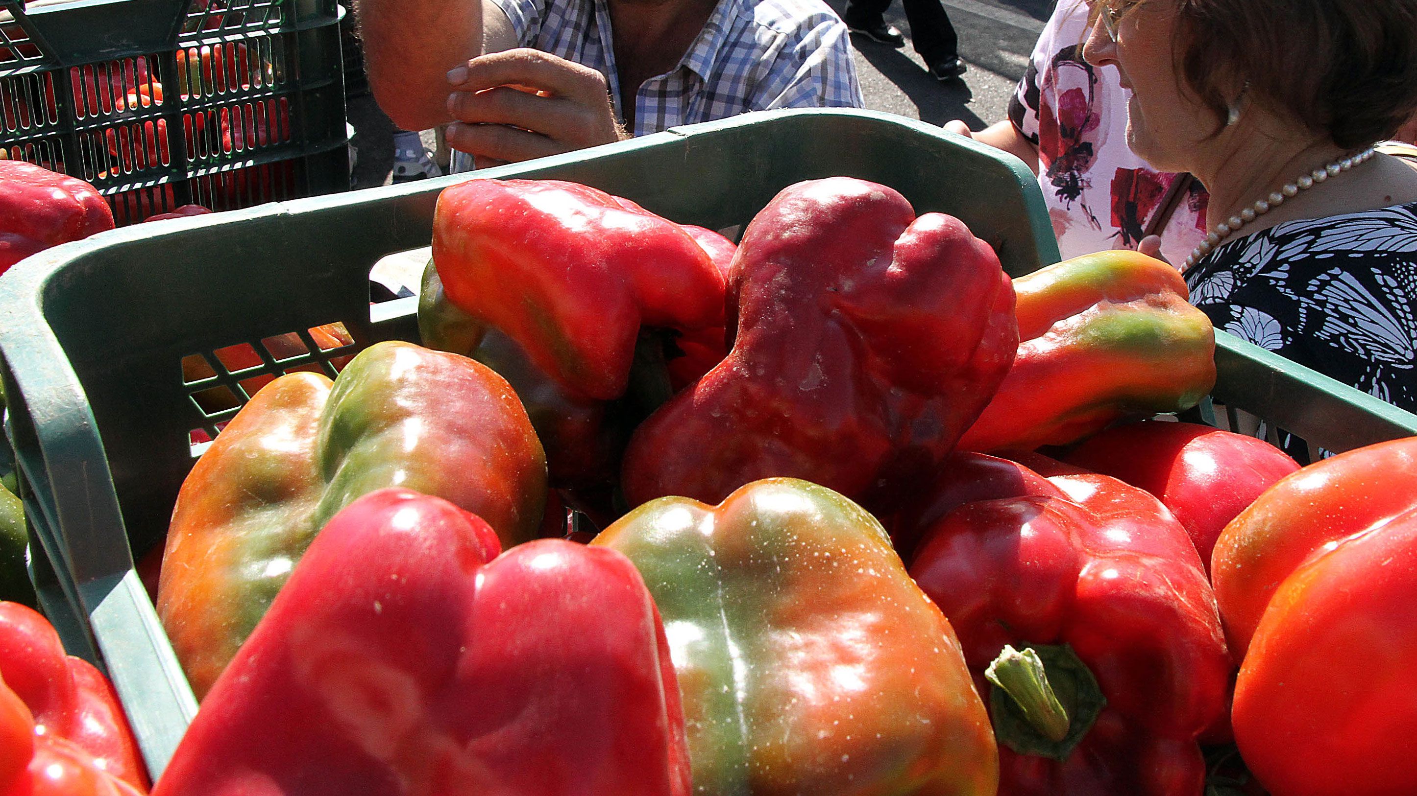 pimiento16-10-2019.jpg
