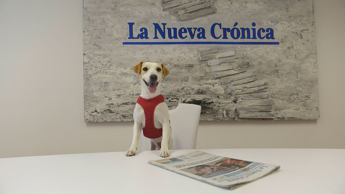 Pipper durante su visita a La Nueva Crónica el pasado verano. | MAURICIO PEÑA