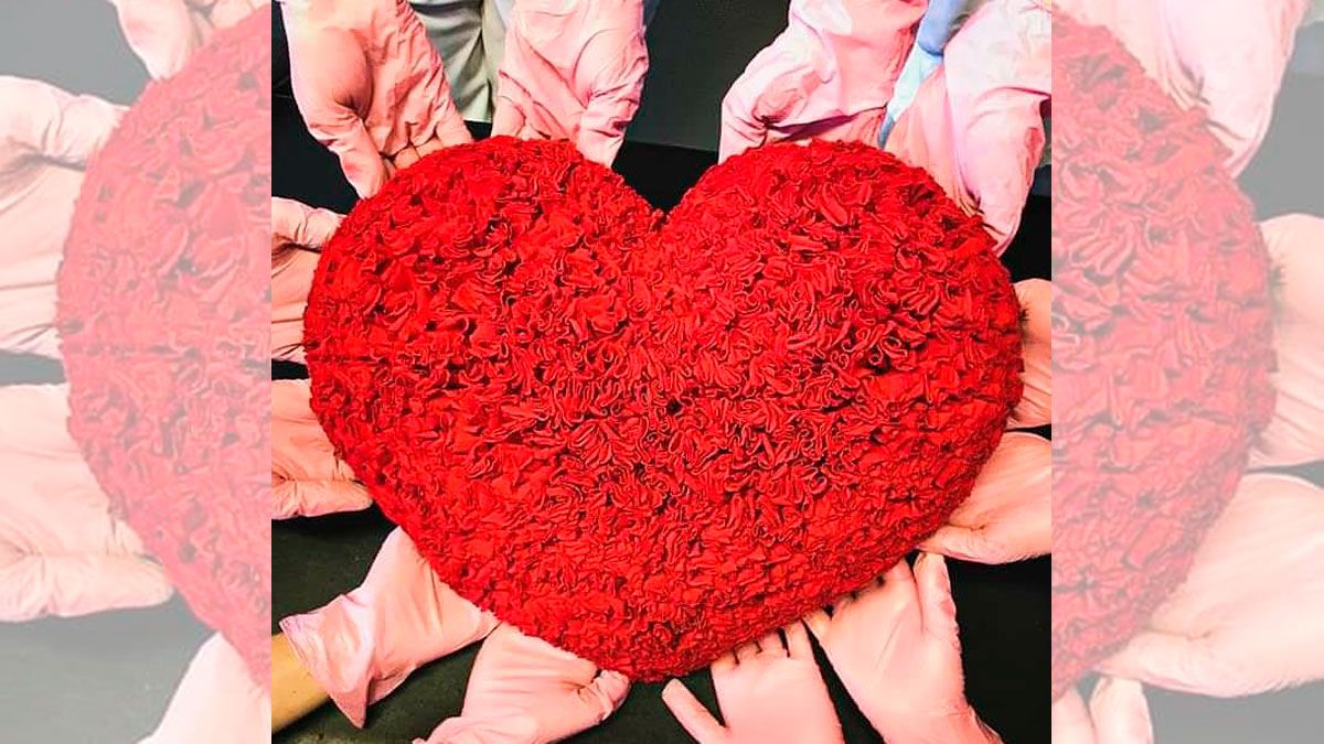 La fotografía vencedora de este concurso solidario. | L.N.C.