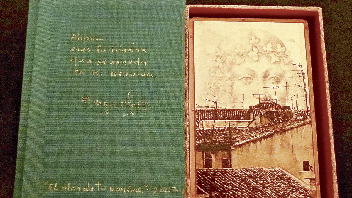 Caja poética de la artista Marga Clark. |  L.N.C.