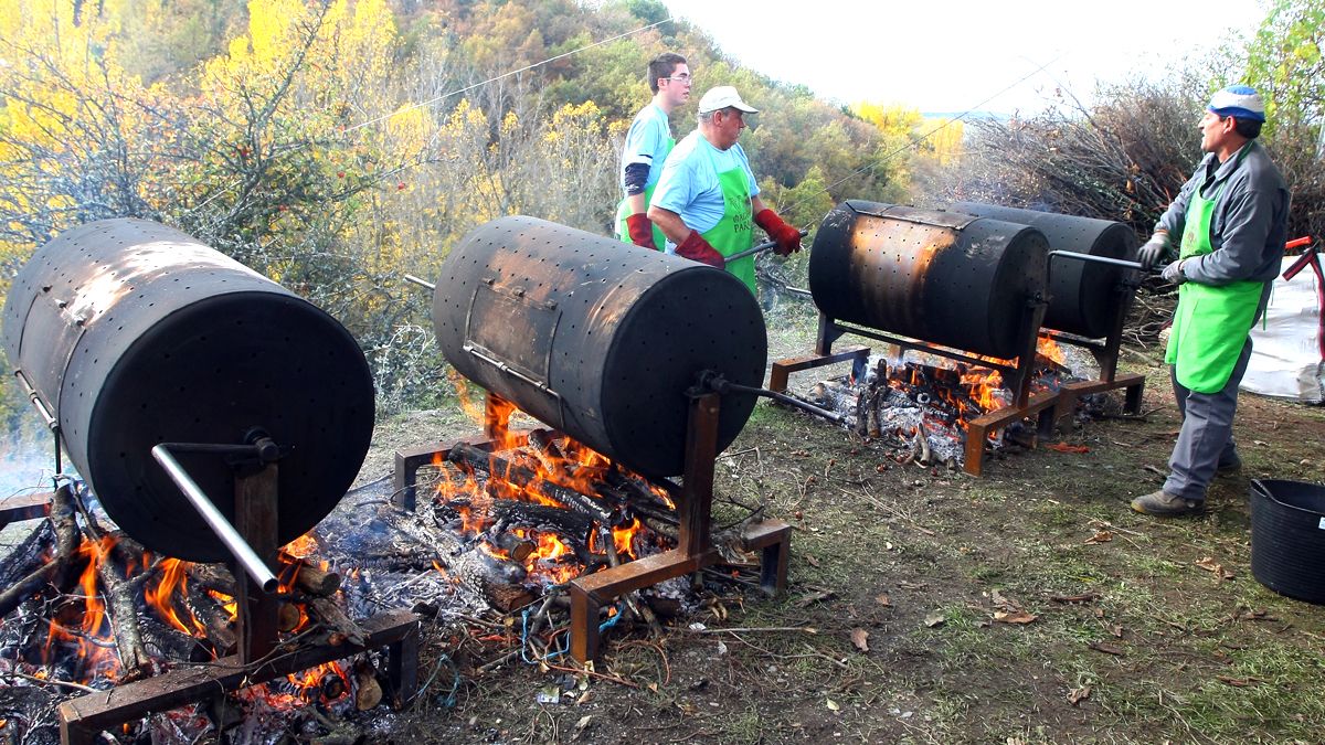 Grandes tambores de castañas preparados para asar los magostos. | Ical