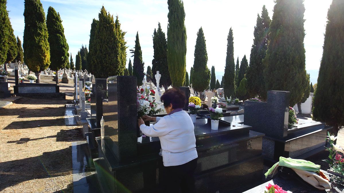 Imagen de archivo del cementerio de ponferrada. | Ical