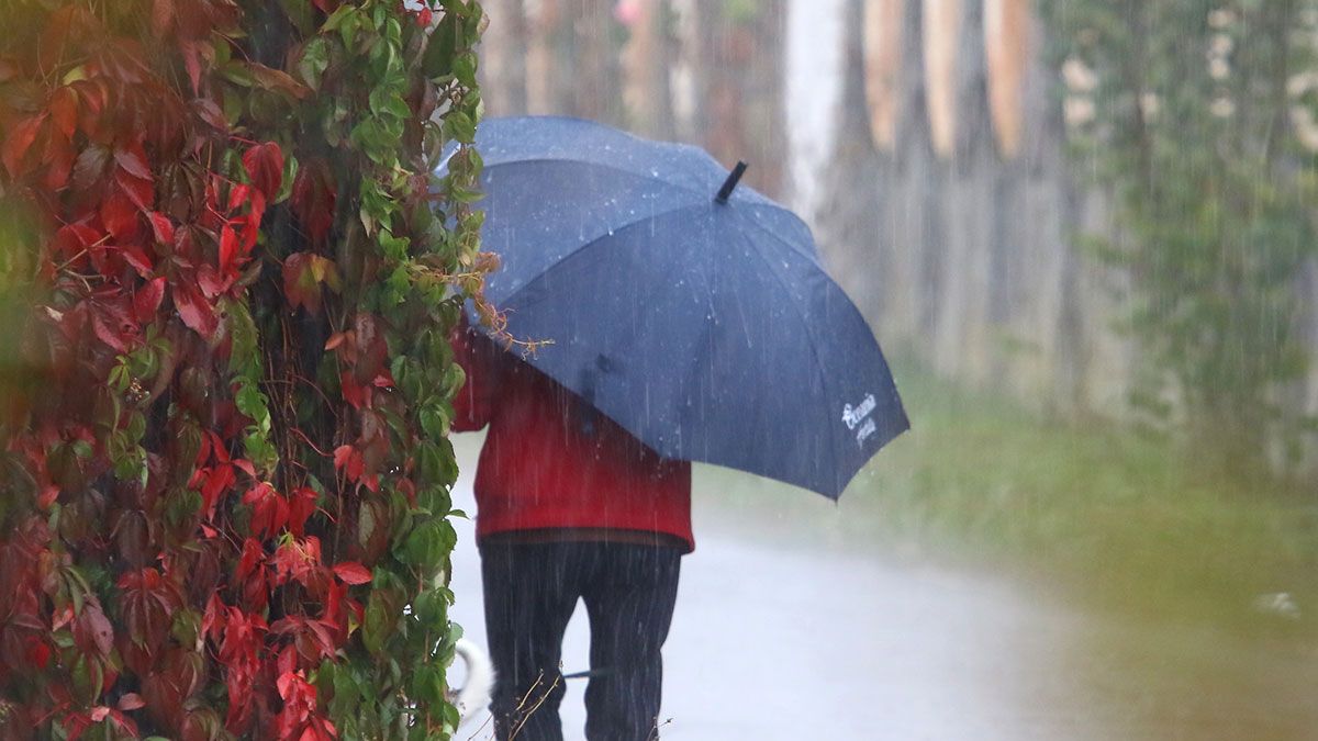 lluvia-leon-31-10-19.jpg