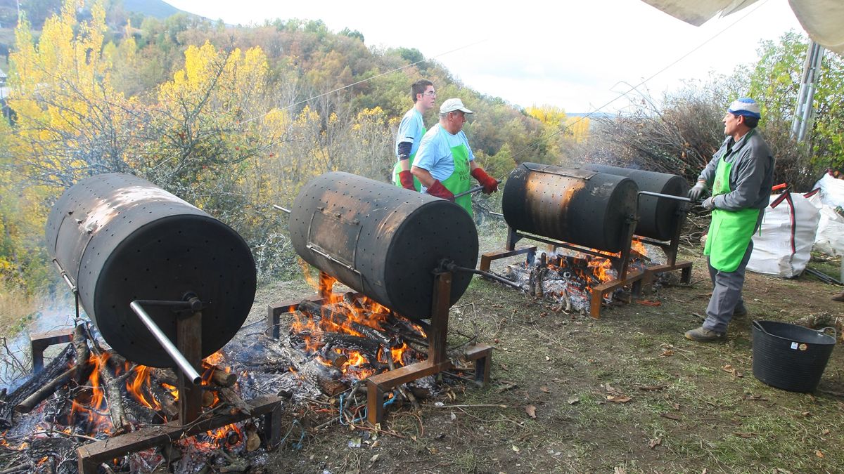 Comienza el baile de los tambores sobre el fuego para dar a luz al magosto en Fabero. | ICAL