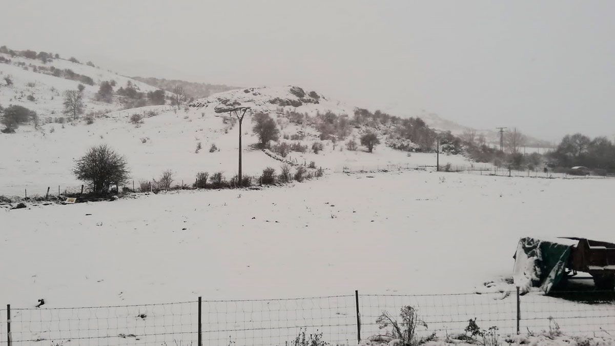 Así ha amanecido la provincia de León este viernes, concretamente Cármenes. | L.N.C.