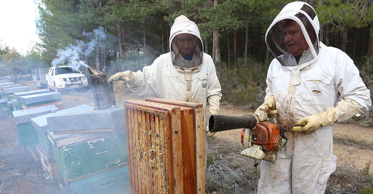 miel-apicultura-leon-08-11-19.jpg