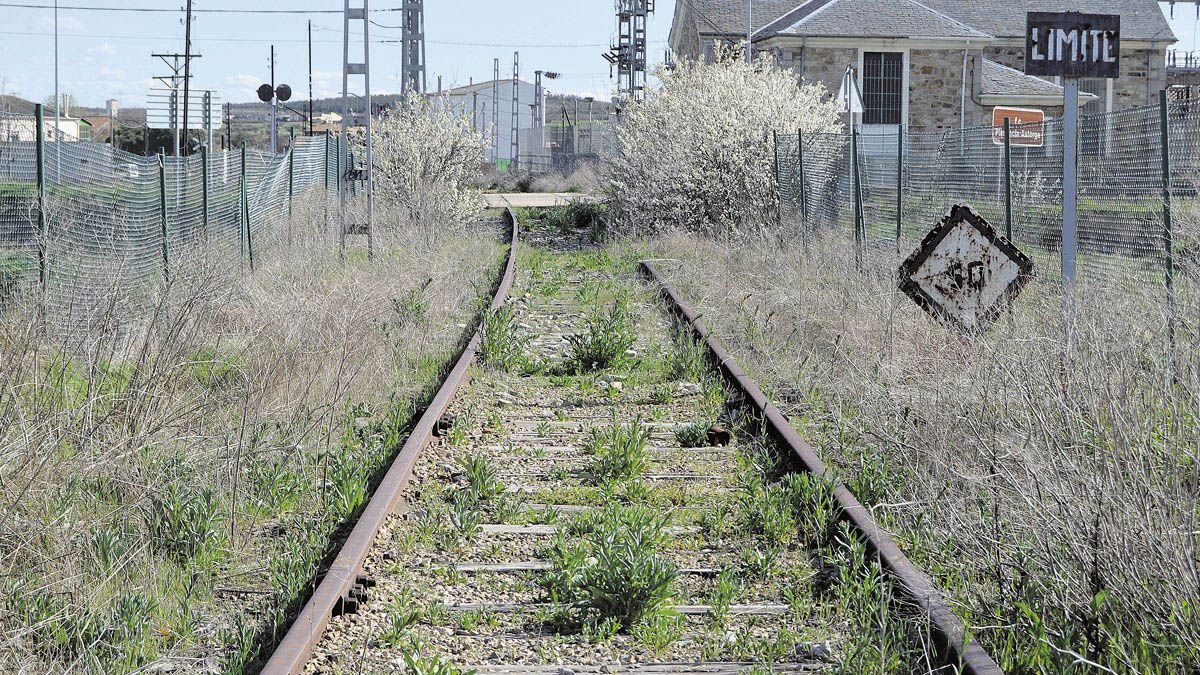 La ruta saldrá desde Riego de la Vega, con destino a Astorga, y serán 11 kilómetros. | P. FERRERO