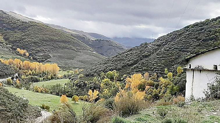 Los paisajes de Cabrera, en este caso de Nogar, tienen en estas fechas de otoño un encanto realmente especial, llenos de colores y magia. | PEPE LIÑÁN