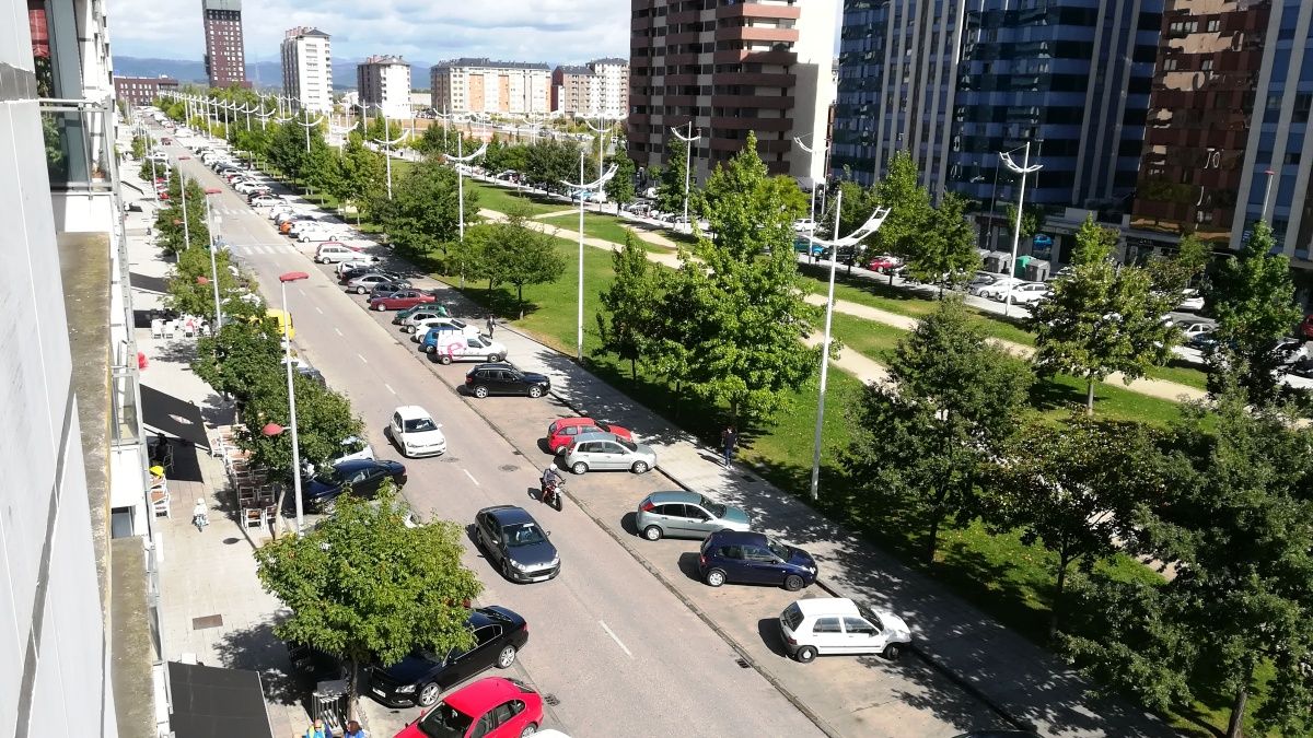 Imagen de la calle central de La Rosaleda, con muchas plazas de aparcamiento. | D.M.