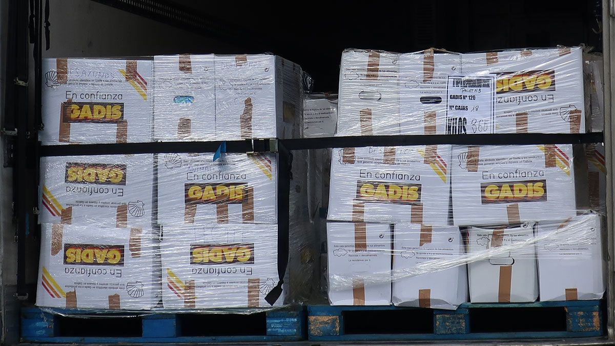 gadis-banco-de-alimentos-20112019.jpg