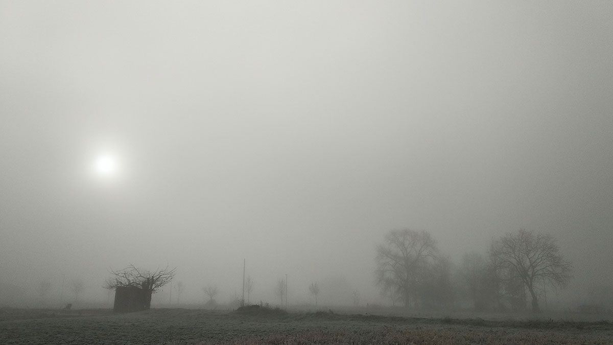 niebla21-11-2019.jpg
