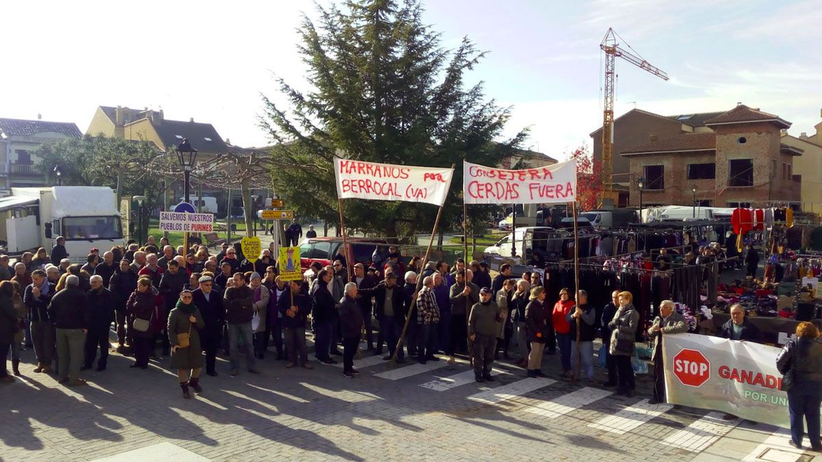 Vecinos de Tábara (Zamora) protestan de nuevo contra la instalación de una macrogranja porcina en el municipio. | ICAL