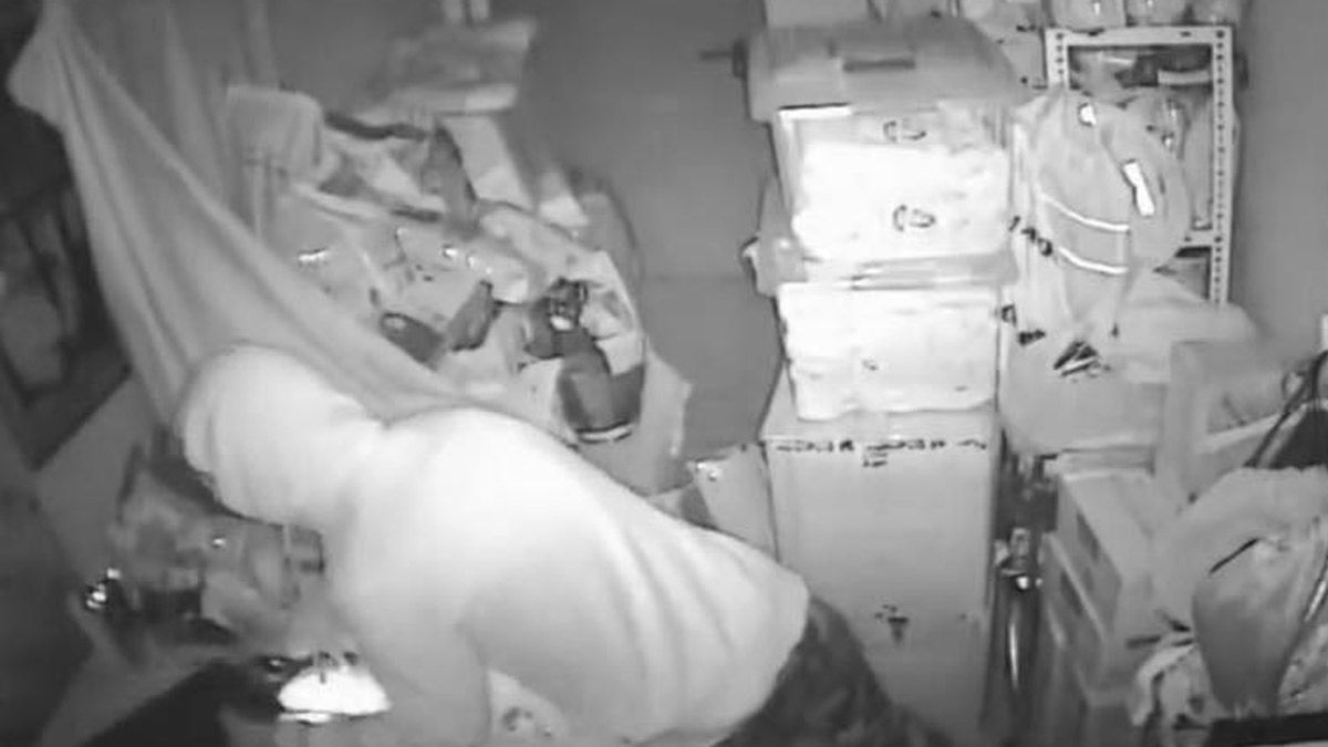 Una de las imágenes con las que denuncian los robos del pasado viernes. | FACEBOOK ASOCIACIÓN PROTECTORA DE ANIMALES Una de las imágenes con las que denuncian los robos del pasado viernes. | FACEBOOK ASOCIACIÓN PROTECTORA DE ANIMALES