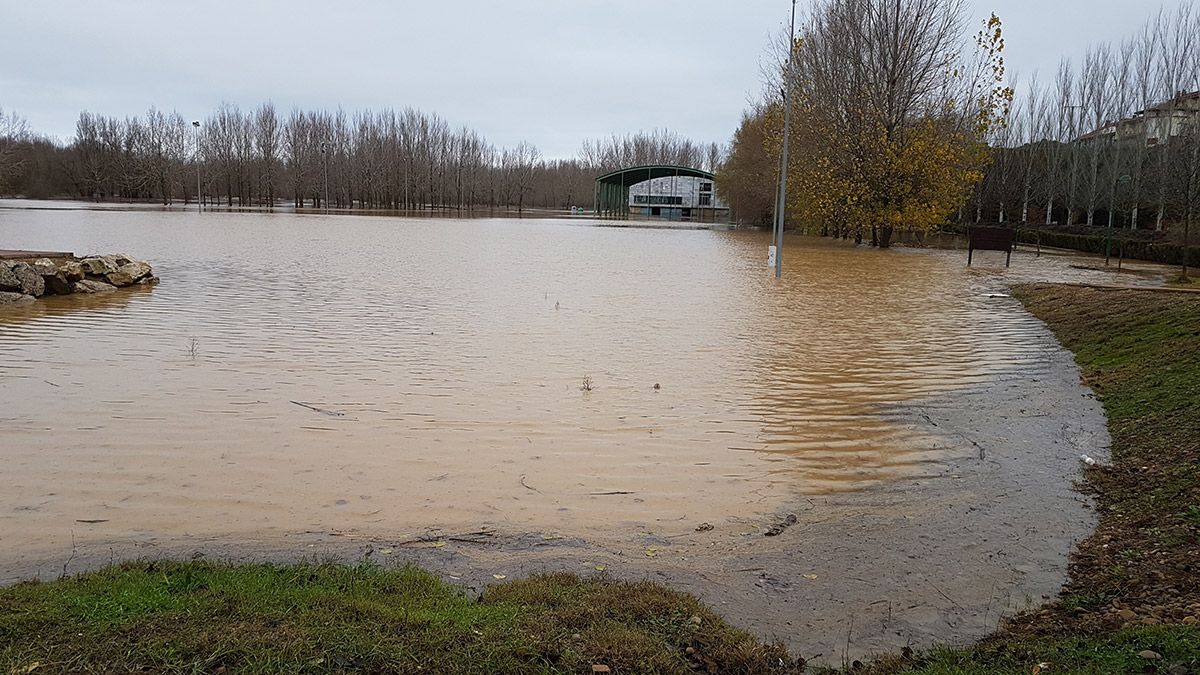 Complejo de la Isla en Valencia de Don Juan completamente anegado por el río. | T.G.