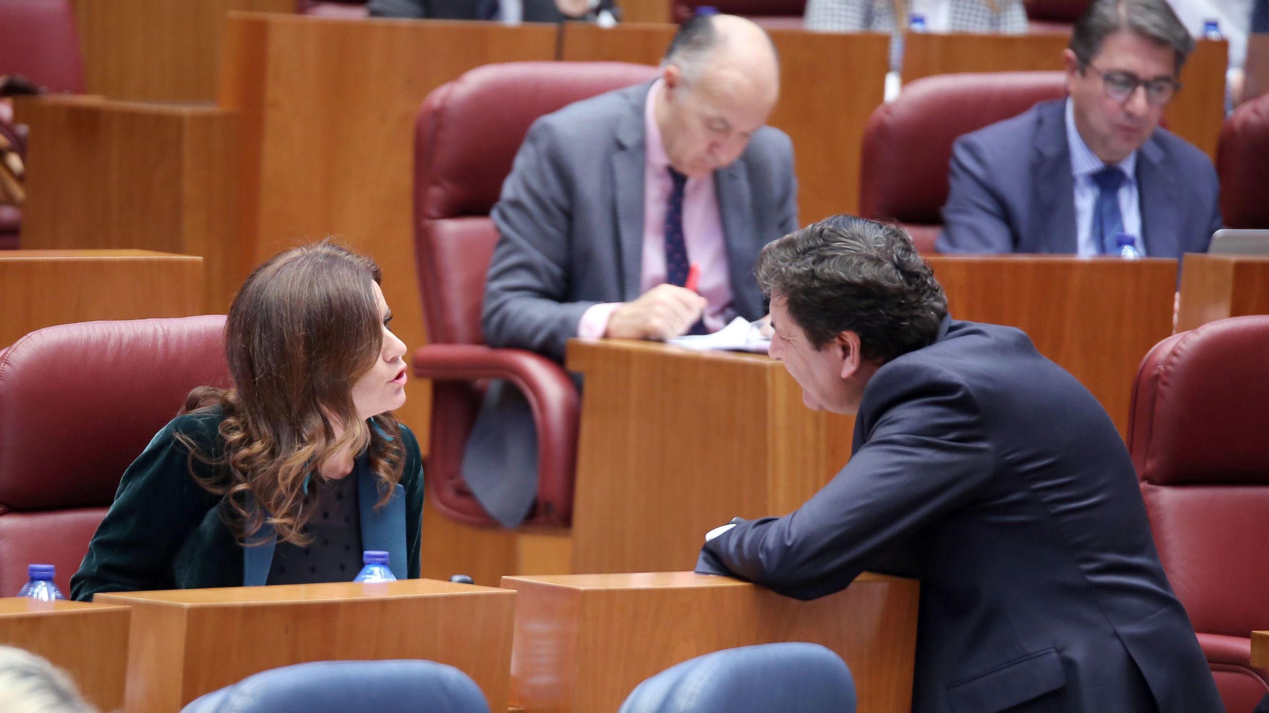 El consejero de Economía, Carlos Fernández Carriedo, conversa con la portavoz del Grupo Parlamentario de Ciudadanos, Ana Carlota Amigo.  | ICAL