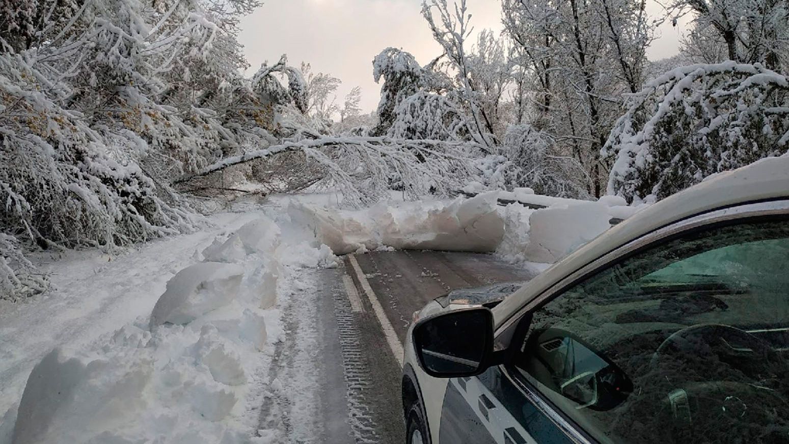 nieve19-12-2019.jpg