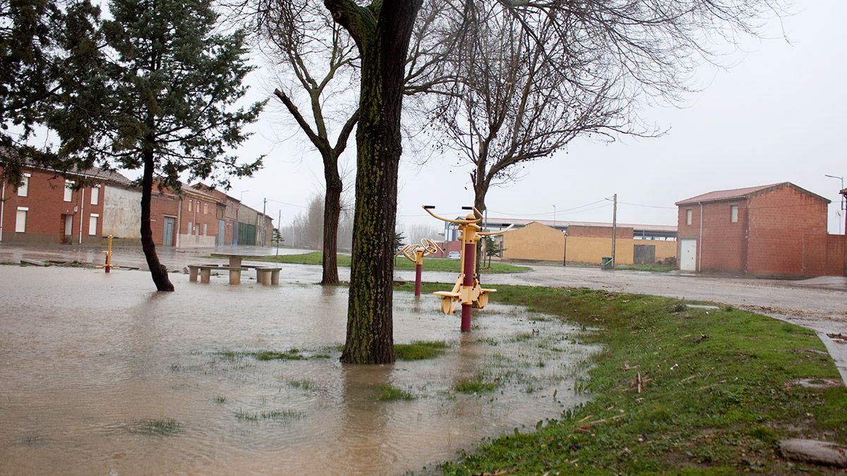 El Esla disminuyó este jueves en Cimanes aunque esperan inundaciones de nuevo por  el aumento del caudal. | T.G.