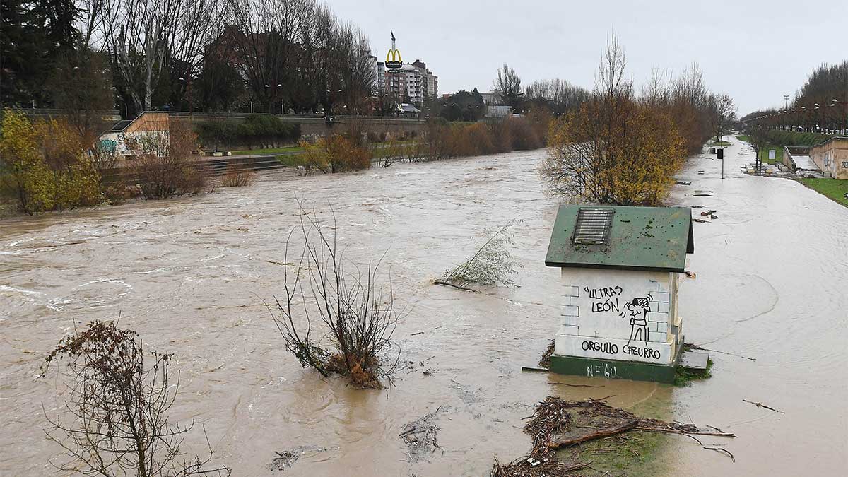 El caudal del río Bernesga se sale de sus márgenes a su paso por la capital leonesa. | ICAL