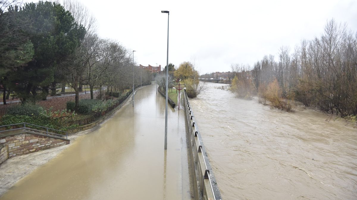 El Paseo de Salamanca inundado este jueves. | SAÚL ARÉN