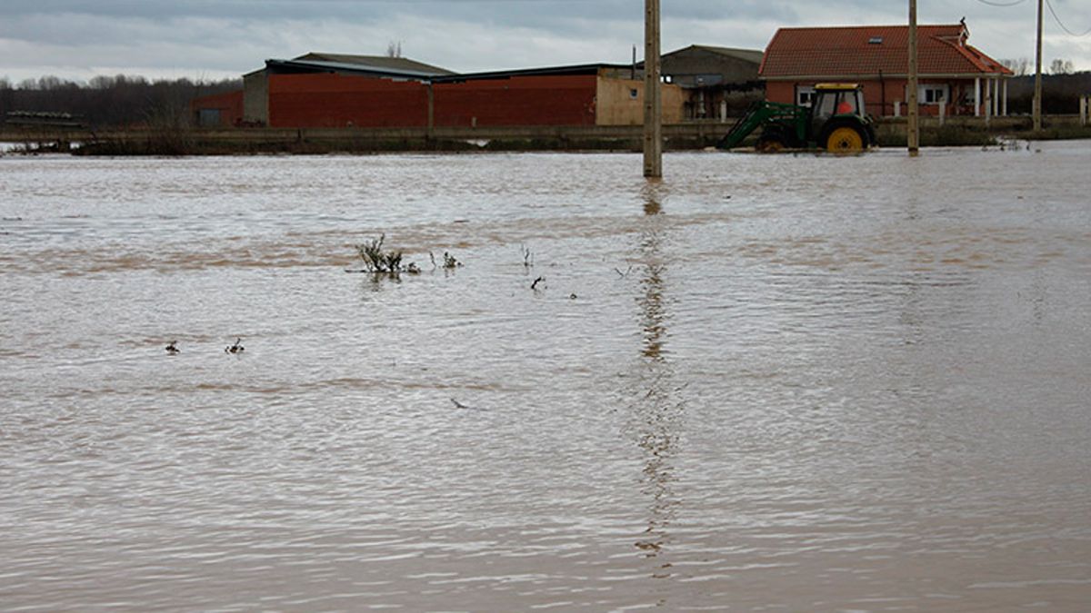 El Esla desbordado en el sur de León. | T.G.