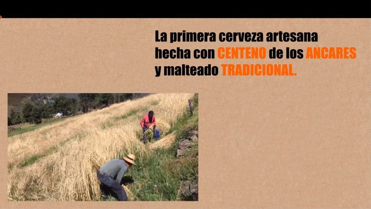 Imagen del vídeo explicativo del proyecto. | D.M. Imagen del vídeo explicativo del proyecto. | D.M.