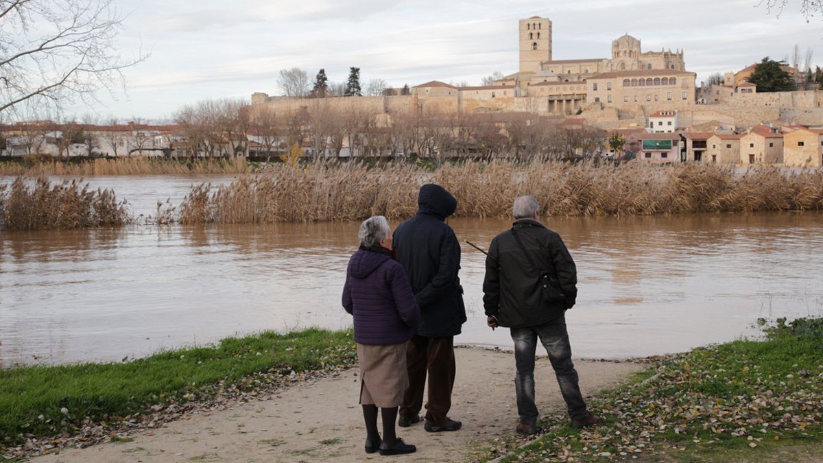 Crecida del Duero a su paso por Zamora este martes. | ICAL