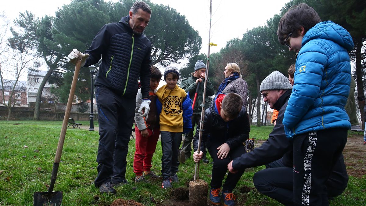 Plantación simbólica que regresa a la plantación de olmos. | ICAL