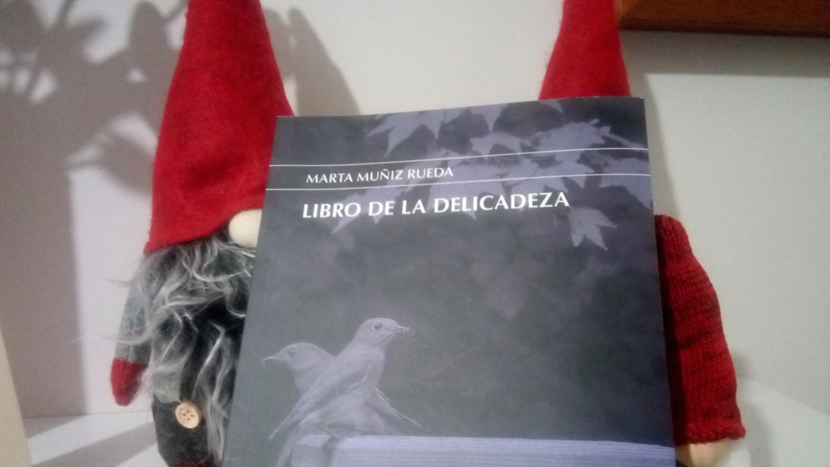 Portada del libro de lectura de Ruy Vega 'Libro de la delicadeza' .