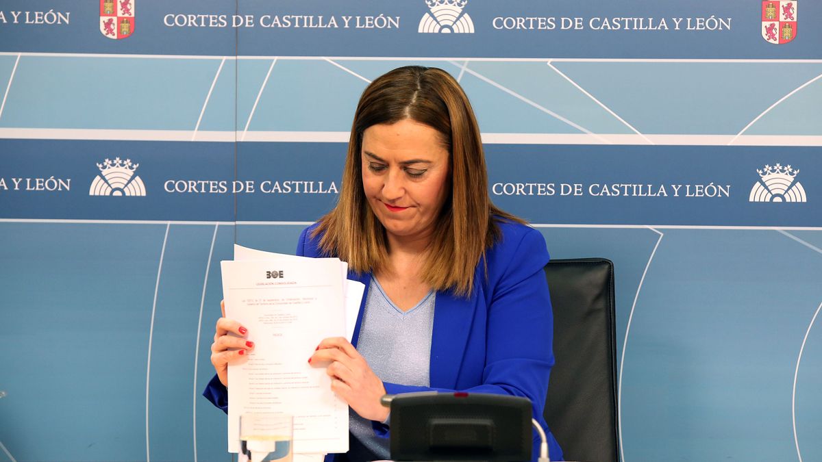 La vicesecretaria general del PSOECyL y viceportavoz socialista en las Cortes, Virginia Barcones. | ICAL