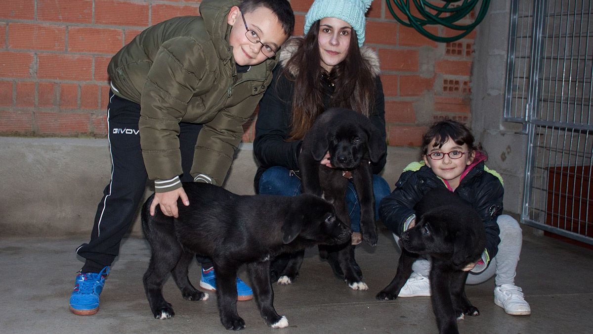 Diego, Carolina y María sujetan a los tres cachorros, de los que todavía uno busca una familia con la que vivir. | T.G.