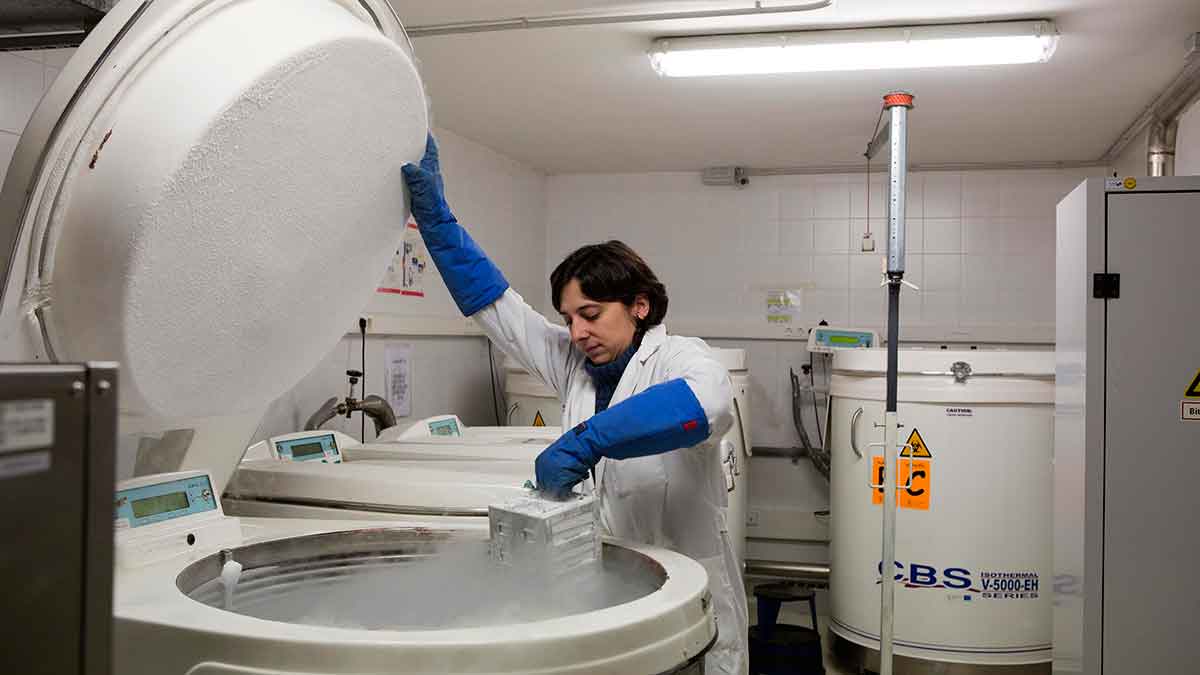 Centro de Investigación del Cáncer. | ICAL