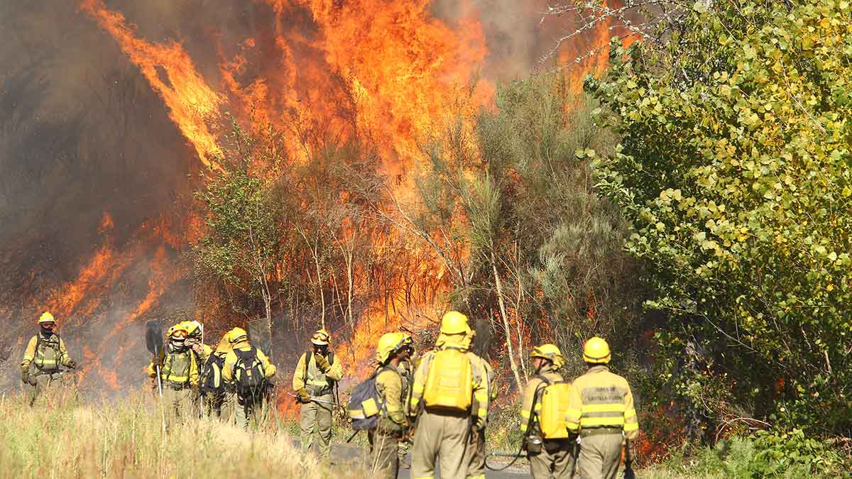 incendios09-01-2020.jpg