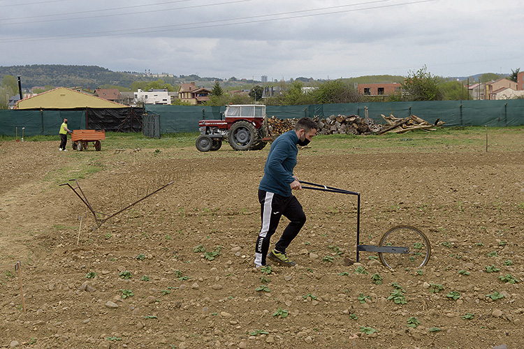 Han restaurado el tractor y varios aperos con los que cultivan la huerta. | M. PEÑA