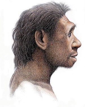 Homo antecessor.
