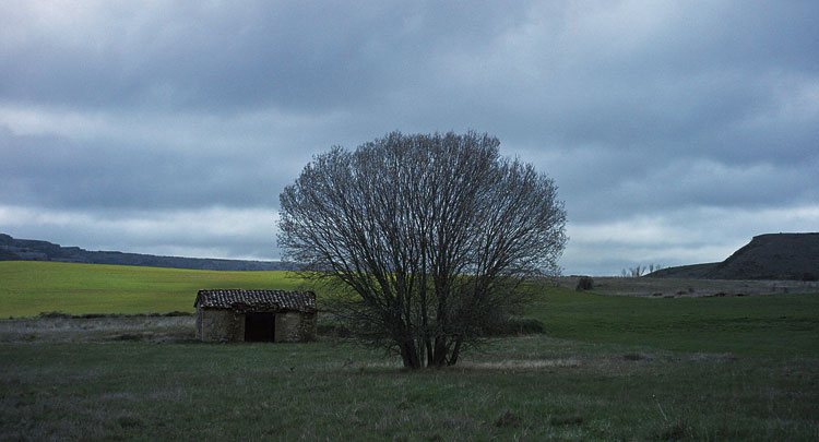 El paisaje burgalés de 'Con el viento'.