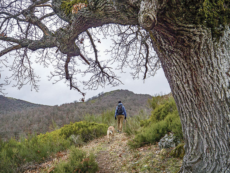 Llegando a la caseta. | VICENTE GARCÍA