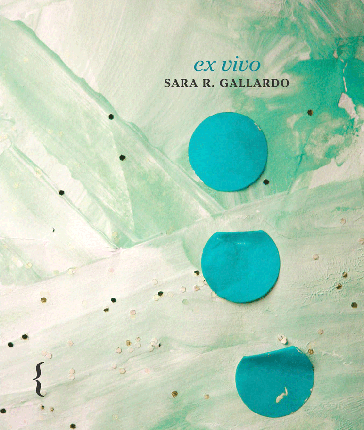 Portada de uno de sus poemarios.