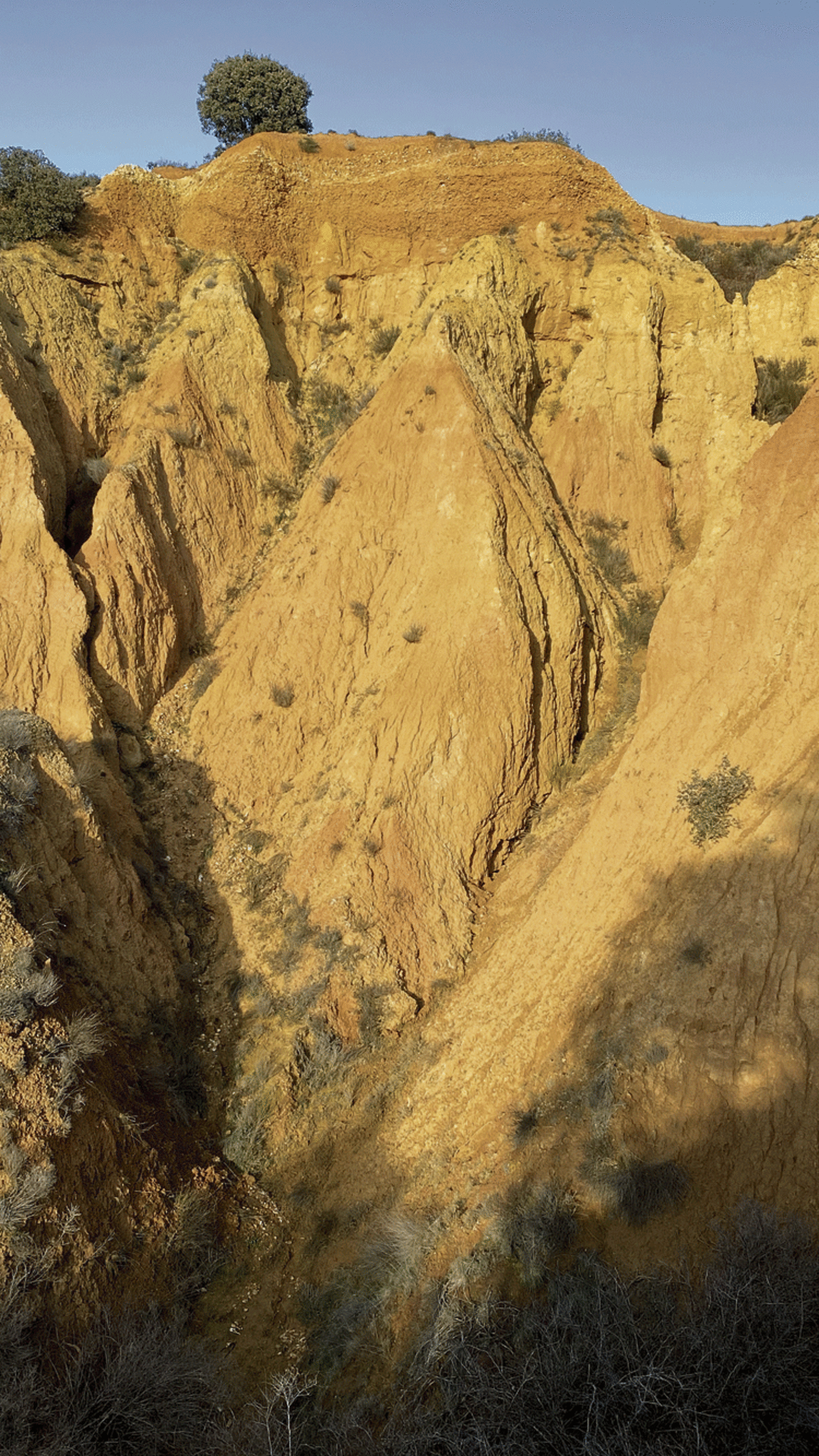 Las torcas de Barrientos, en el ayuntamiento de Valderrey, son un paraje de un elevado interés geológico que por ello habían sido elegidas como protagonistas del Geolodía 2020.