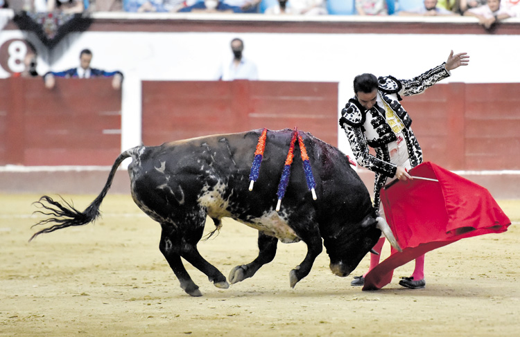 Enrique Ponce se encontró muy cómodo con el primero de su lote y le cortó 2 orejas de puerta grande. | SAÚL ARÉN