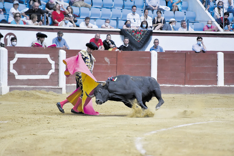 José Mª Manzanares cuajó una muy buena faena en el único toro que pudo lidiar, el otro se lesionó. | SAÚL ARÉN