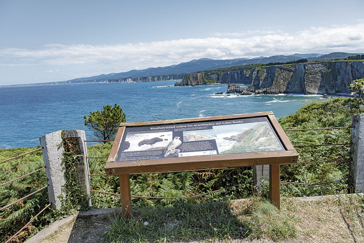 Mirador de Punta Arenosa. | VICENTE GARCÍA